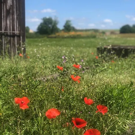 Hébergement de vacances Piscine, Jacuzzi 2p Monflanquin *