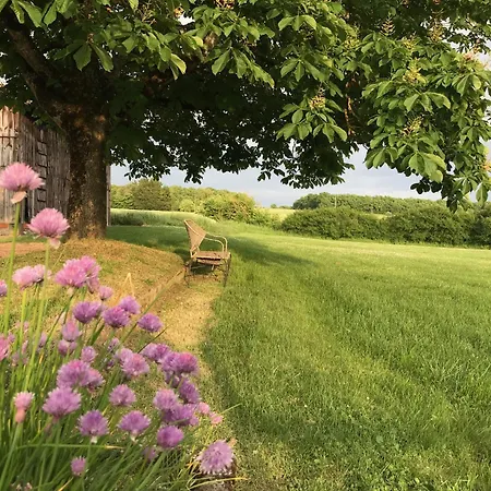 Piscine, Jacuzzi 2p Monflanquin Hébergement de vacances