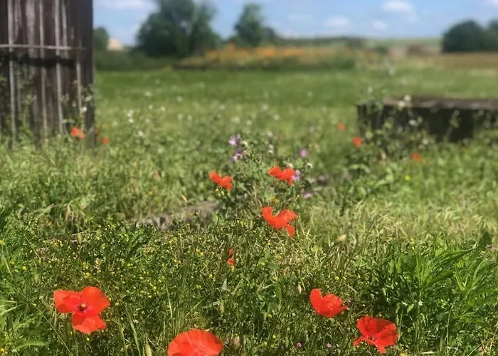 Feriehus Piscine, Jacuzzi 2p Monflanquin *